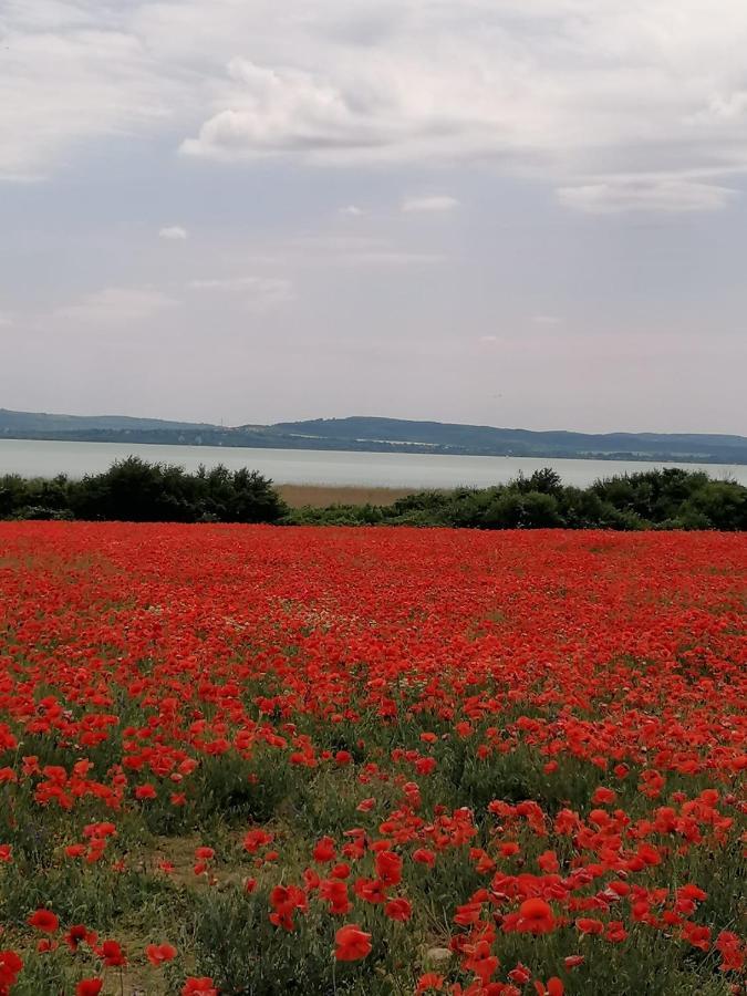 Aszofoi Panorama Apartmanhaz Εξωτερικό φωτογραφία
